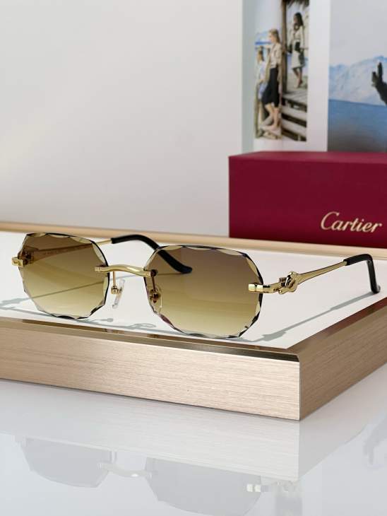 Picture of Cartier Sunglasses _SKUfw79279931fw